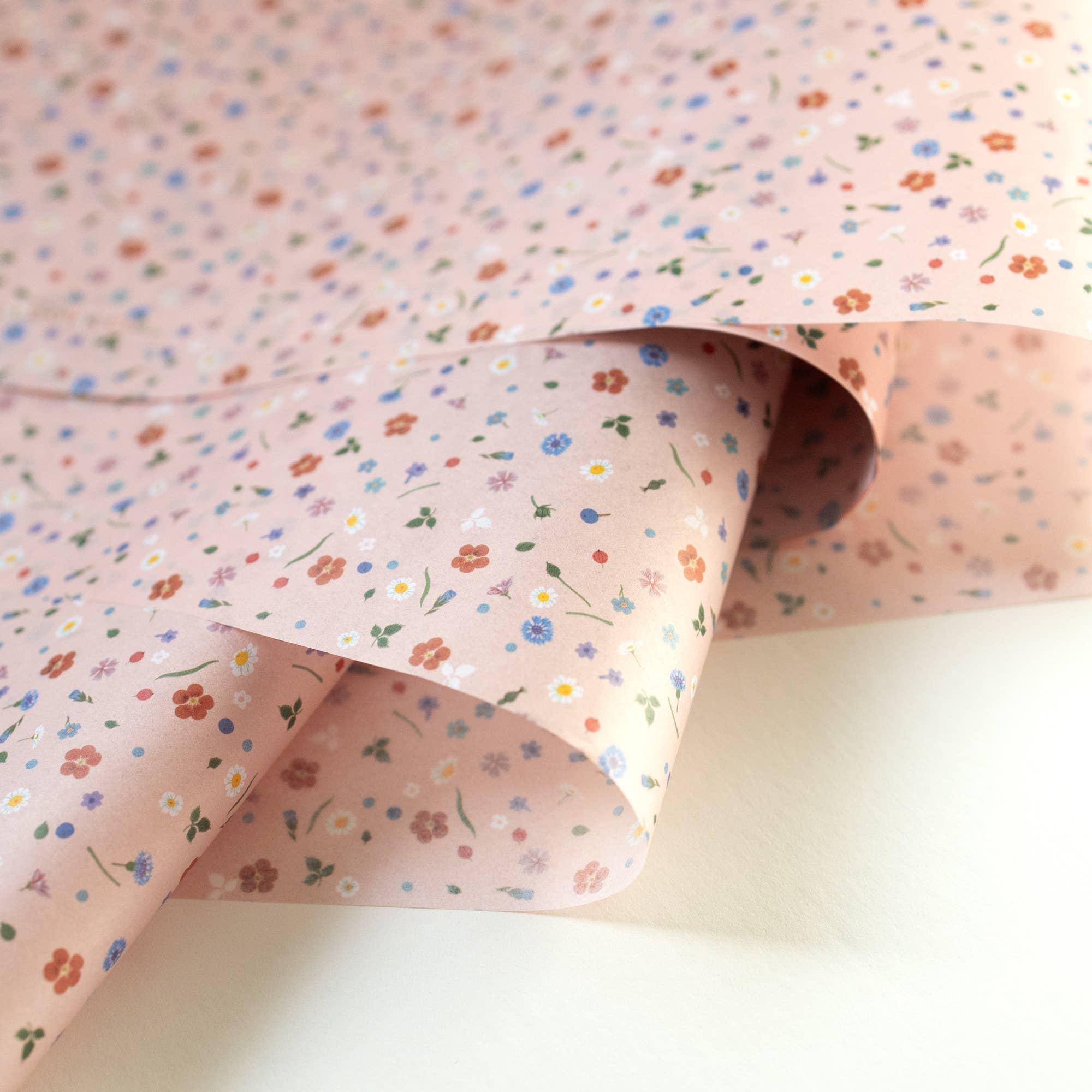 Botanica Paper Co. - Venta al por mayor Papel de seda - CONFETI FLORAL | Papel de seda (10 hojas)1