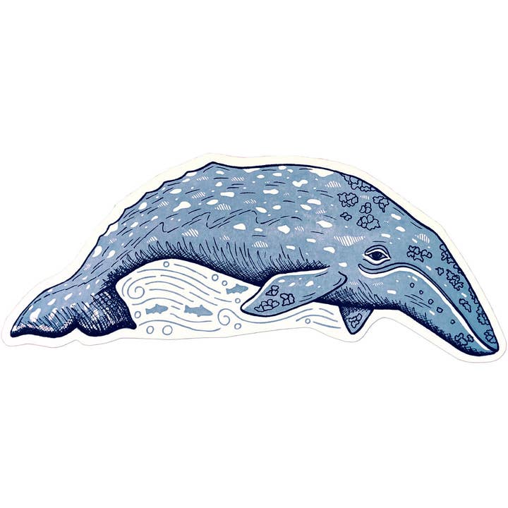 Gray Whale Postcard for wholesale by Noteworthy Paper & Press