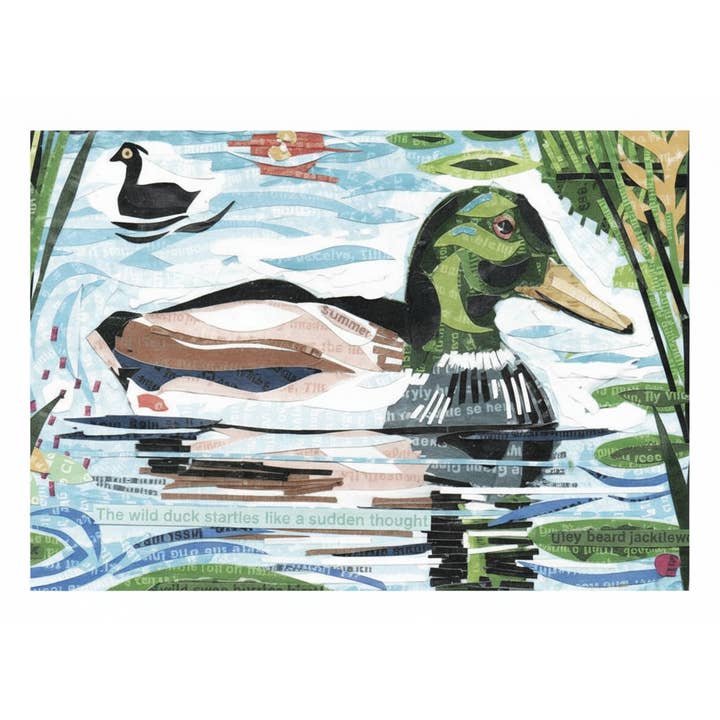 Jamie Poole – wholesale Everyday greeting card – The Wild Duck – A5 Art Card, Pack of 6, Blank Inside4