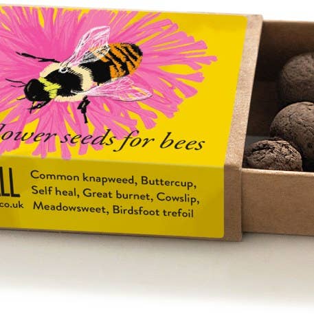 Seedball – wholesale Plant seeds – Bumblebee Seedball Wildflower Boxes2