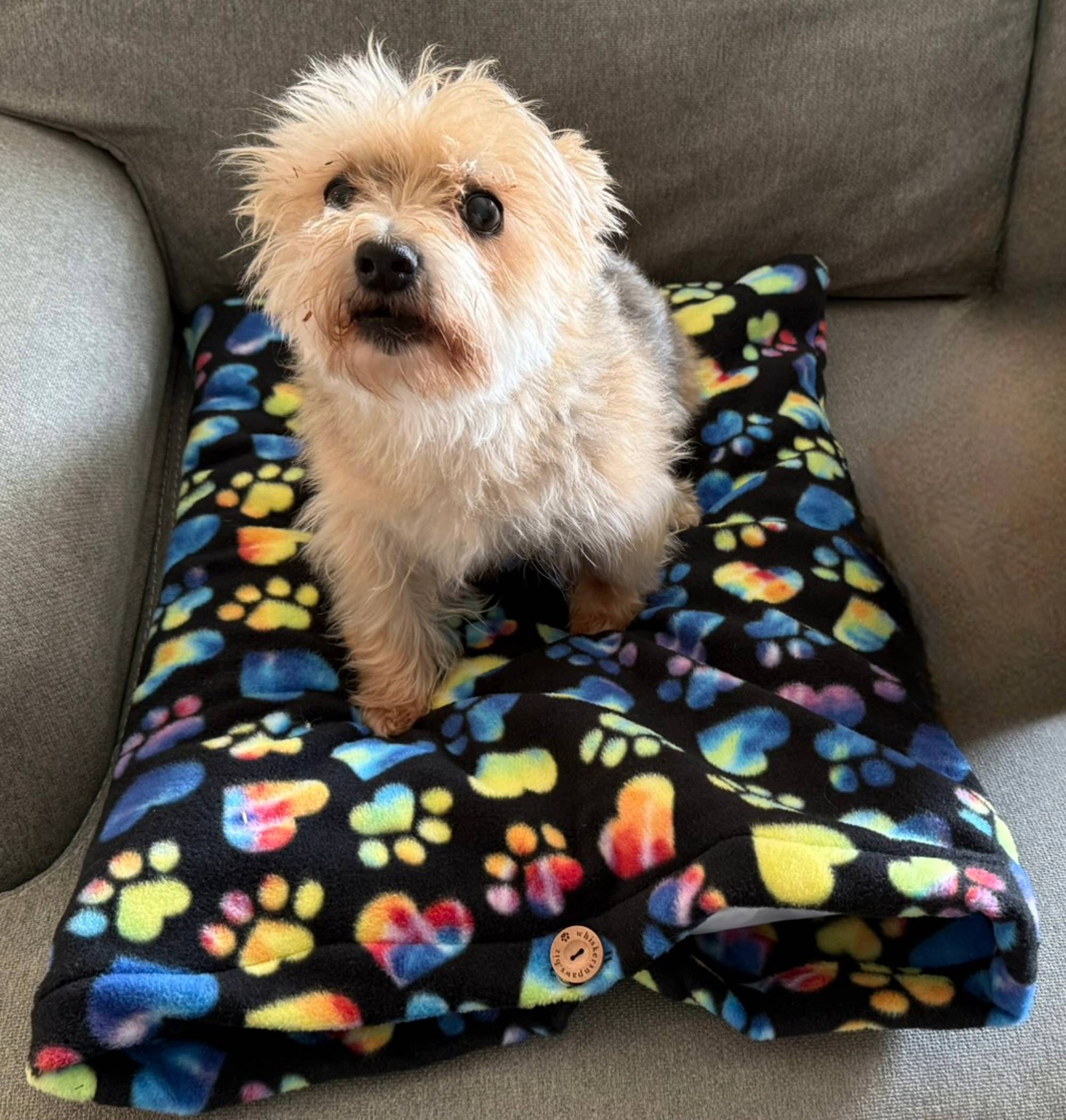 Whiskers 'n Paws Unique Pet Gifts, LLC - Venta al por mayor Cama - Gatos y perros - Cojín para Mascotas, Rectangular, Cáscaras de Alforfón (PCRBH-2)7