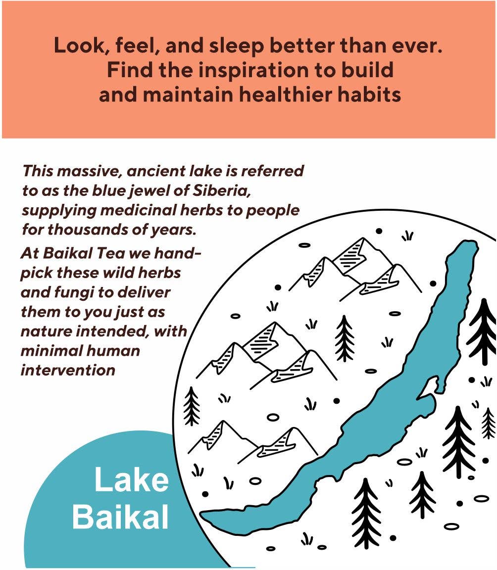Baikal Tea - Wholesale Health/Detox Tea - Chaga + Reishi7