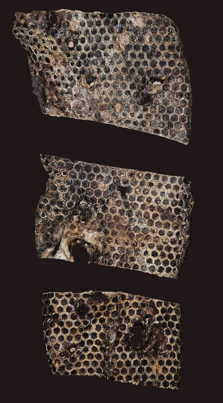 Blue's Colorado - Wholesale Pet Treats - Dog - Pet Provisions Lamb Lung Steaks 4kg [8.81lb] box0