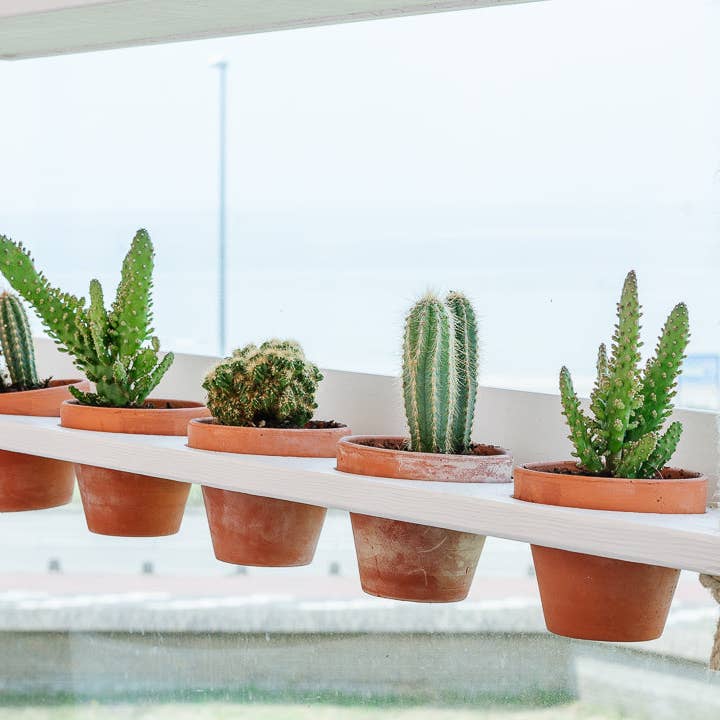 Balkonbar – Engroshandel Hængende plantekasse – Balkonbar hængende have i hvidvask5