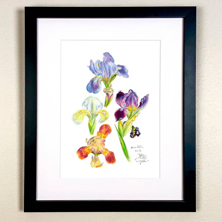 Miniature Iris Print for engroshandel hos Wildlife By Mouse