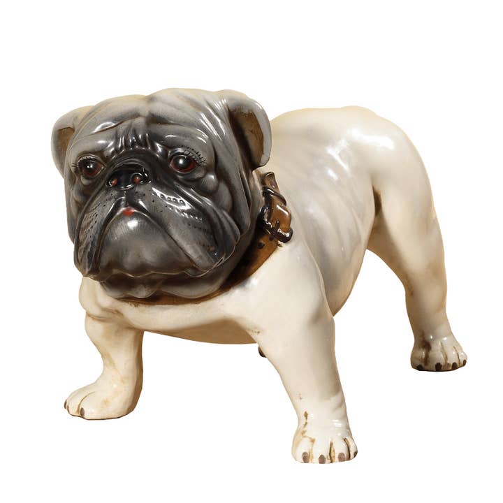 Bulldog 16" pour la vente par Intrada Italy