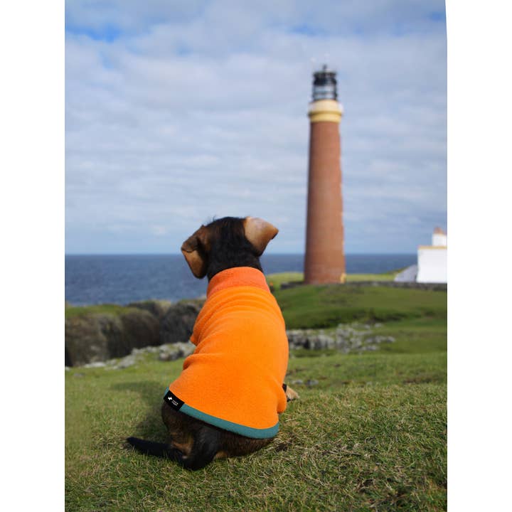 woof & wiggle - Wholesale Pet Sweater - Dog - Polartec © Essential Dog Sweater5