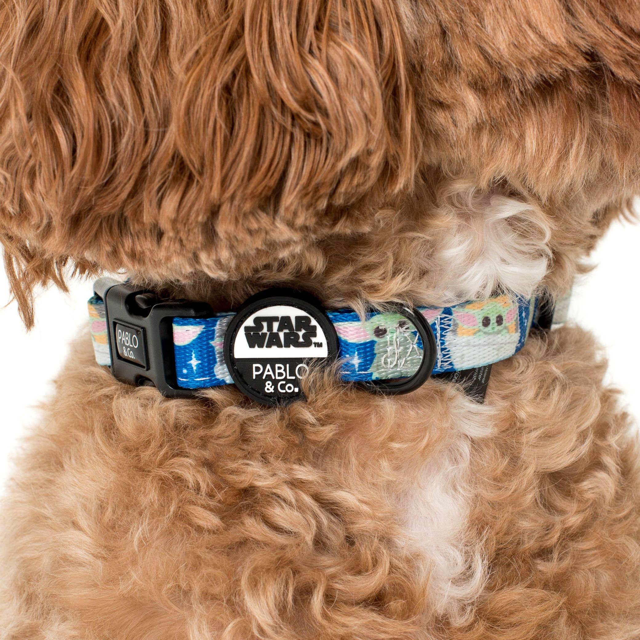 Pablo & Co. Boutique - Wholesale Pet collar – Dog - Star Wars Grogu: Dog Collar
