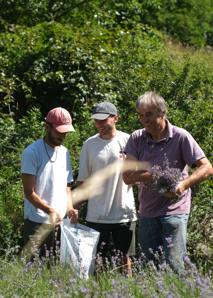 Kruut - Wholesale Sage Bundle - Take it easy incense bundle7