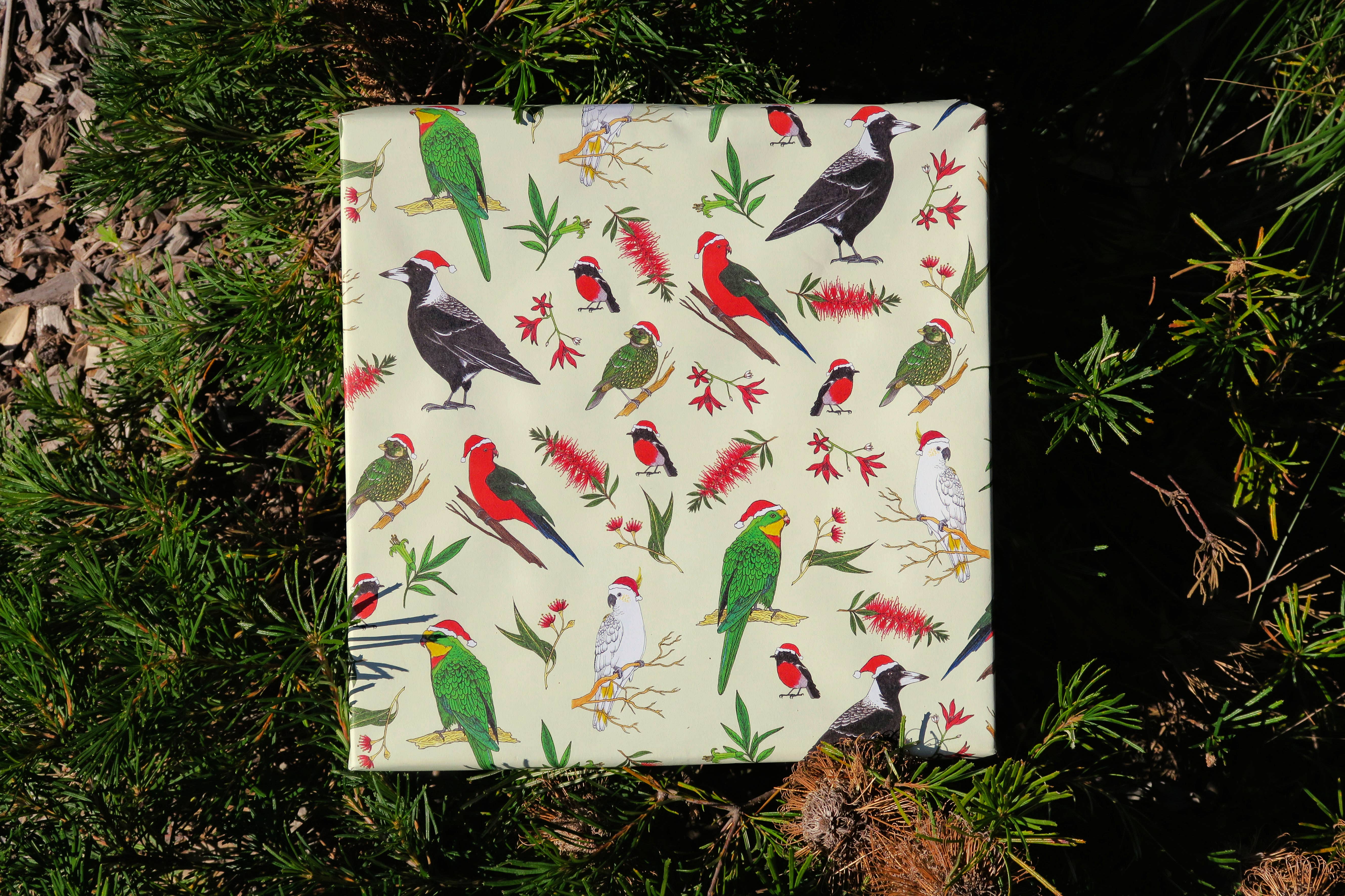 Sunshine Sea Art - Wholesale Flat Wrap - Recycled Wrapping Paper Australia Christmas Bird Gift Wrap1
