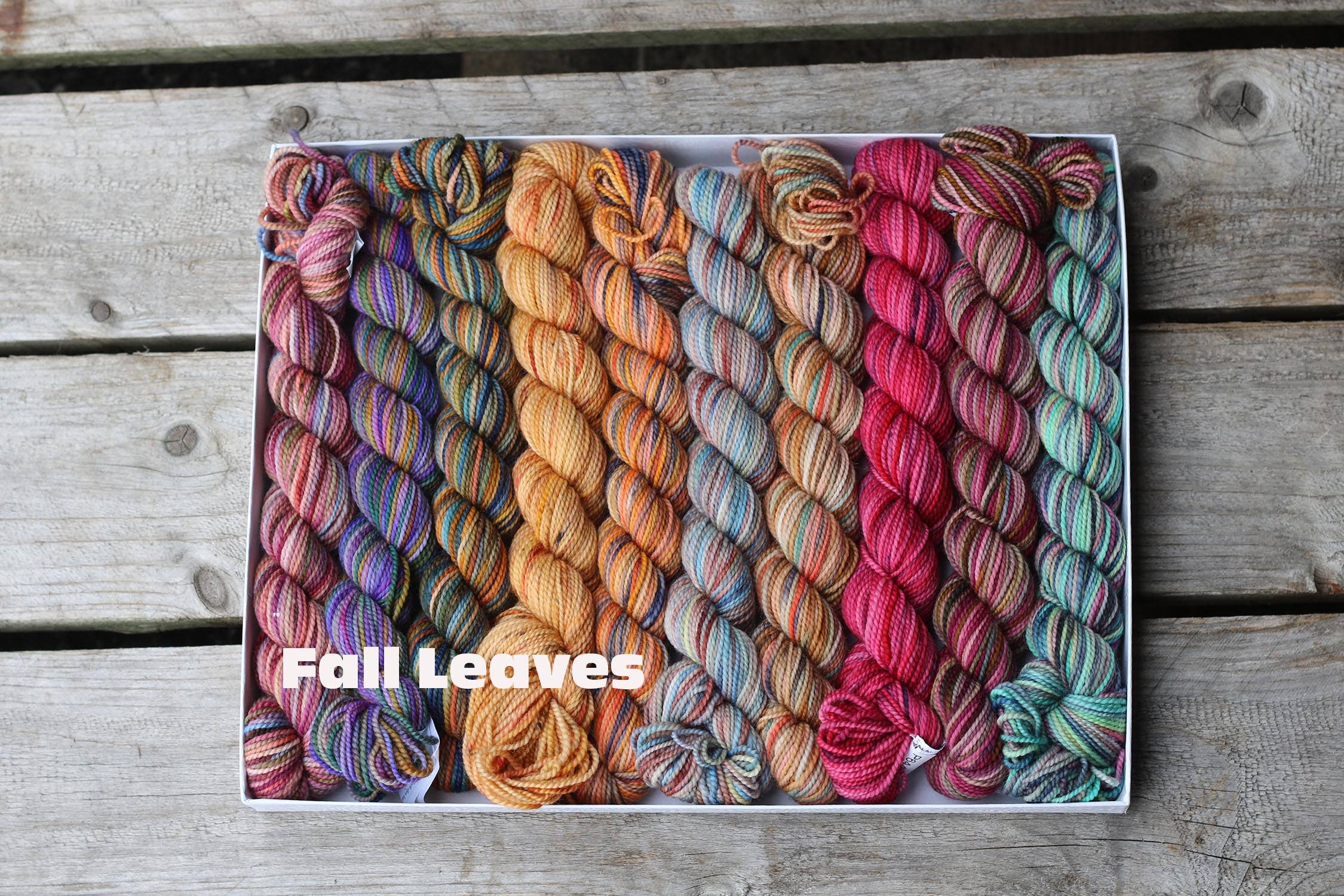 Koigu Wool Designs - Vente Fils à tricoter - Coffret de laine Koigu Pencil Box groupe 16