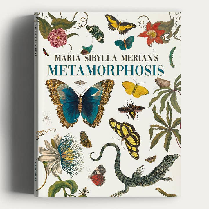 Maria Sibylla Merian's Metamorphosis for wholesale by Art Meets Science