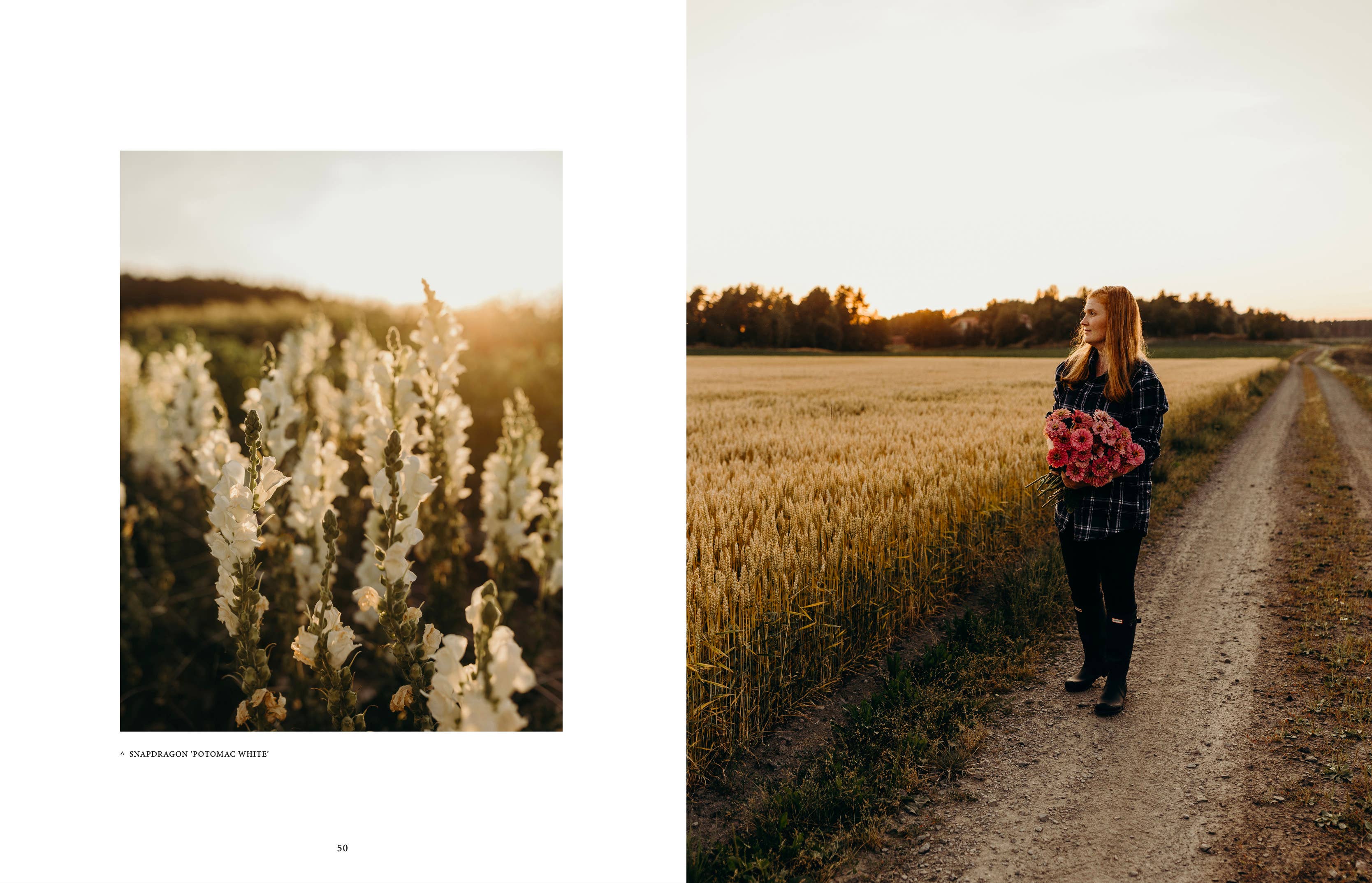 Cozy Publishing - Wholesale Home & Garden Book - Where Flowers Bloom5