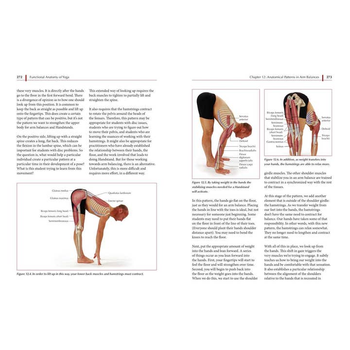 Simon & Schuster - Wholesale Fitness & Exercise - Functional Anatomy of Yoga by David Keil5