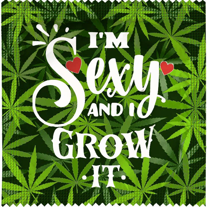 CALLVIN - Wholesale Gag Gift/Novelty Gift - I'm Sexy And I Grow It - Cannabis Condom