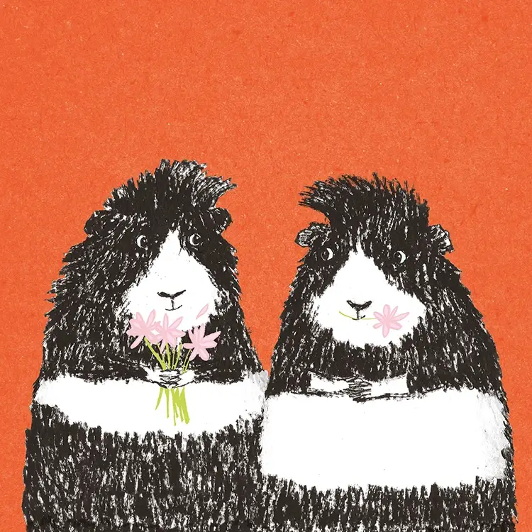 Paper Bird Publishing – wholesale Vardagliga hälsningskort – Läckra blommor0