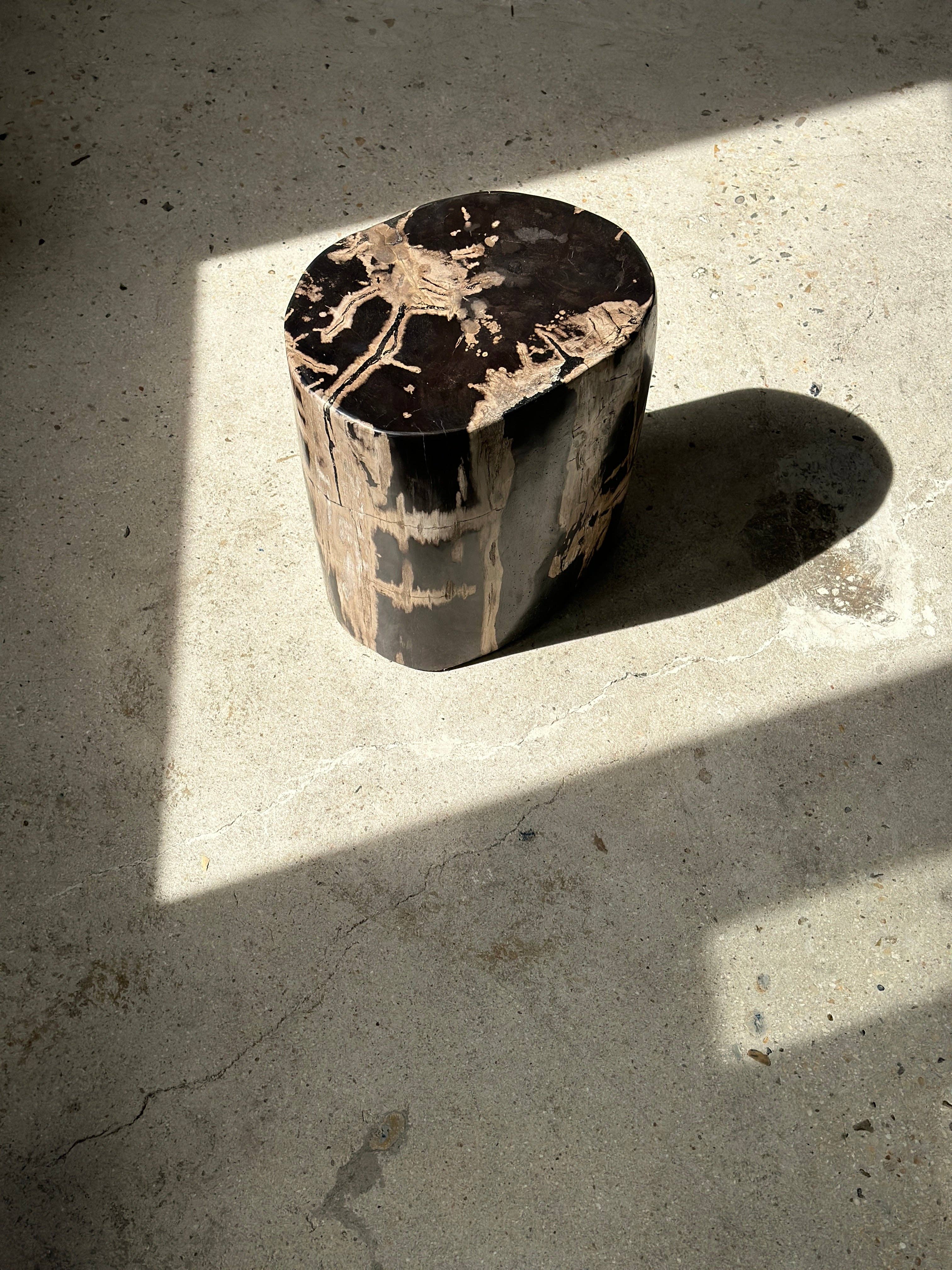 Office Objets - Vente Tables d'appoint - Table d'appoint en bois pétrifié38