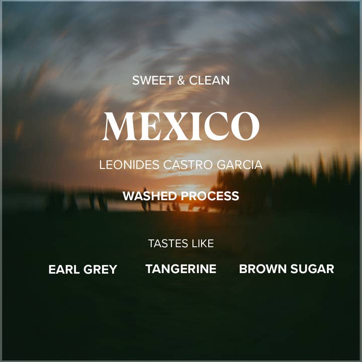 Mexico Leonides Castro Garcia • 5lb • Wholesale for wholesale by Makeworth Coffee Roasters
