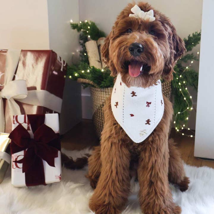 The Deluxe Pup - Wholesale Pet Bandana - Dog - CHRISTMAS DOG BANDANA | SUGAR AND SPICE