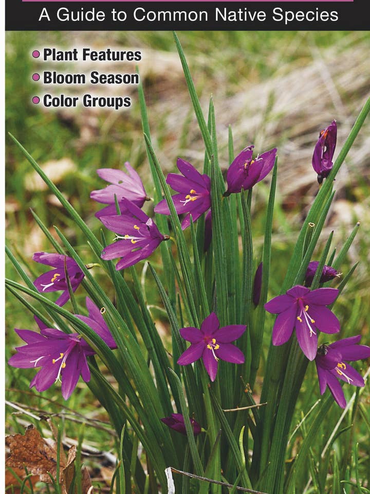 Wildflowers of Washington's Cascade and Olympic Mountains for wholesale by Quick Reference Publishing, Inc