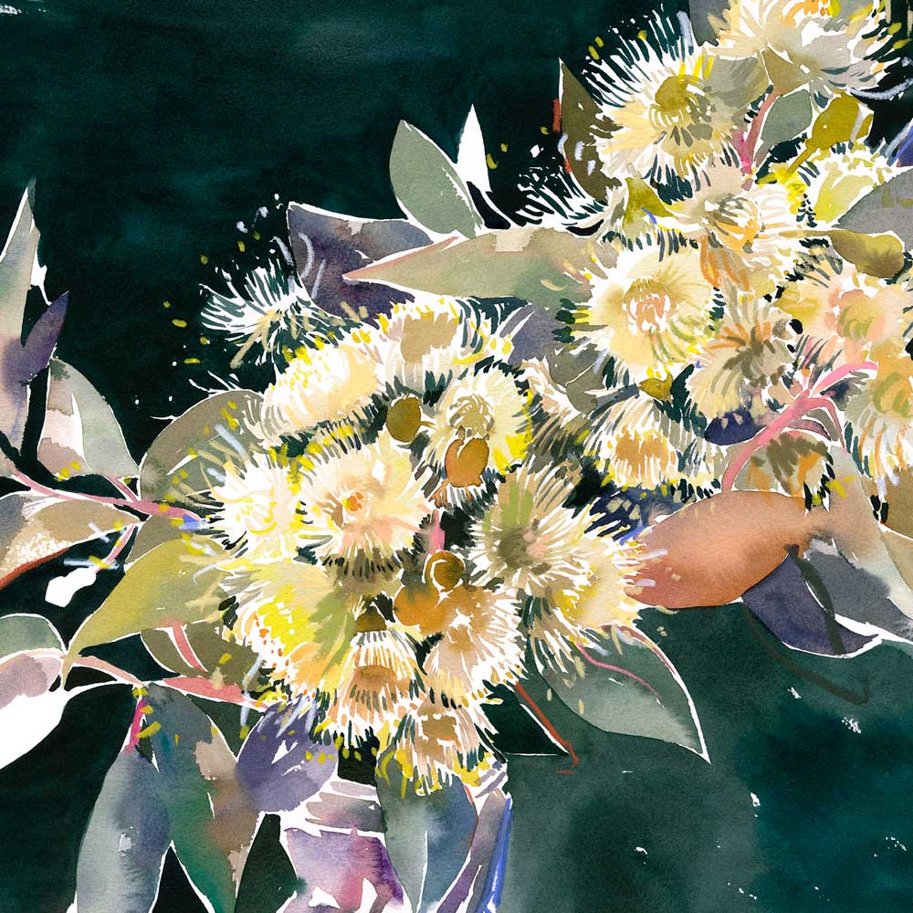 Natalie Martin | Australian Watercolour Artist - Wholesale Gewone wenskaart - 'Gom Bloesem en Salsa Pot' Wenskaart2