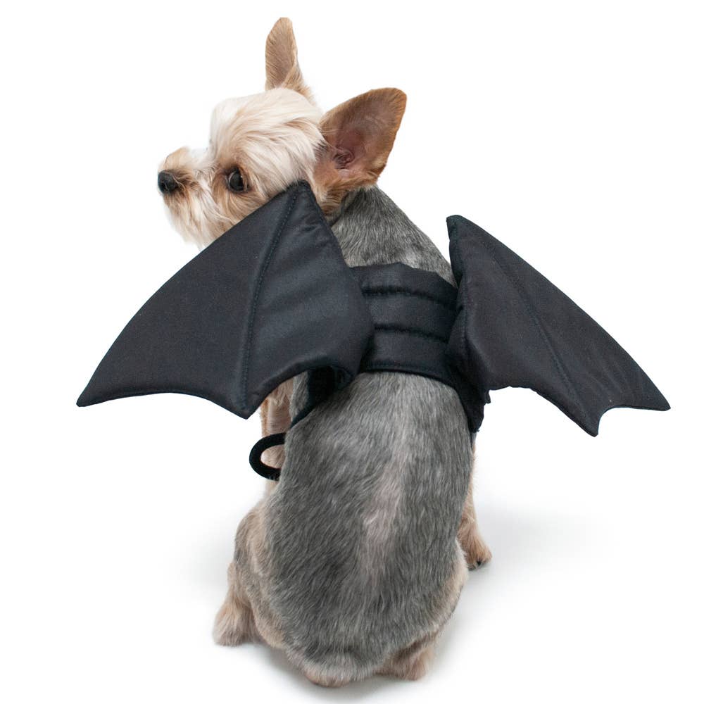 Trickz N Treatz Sexy Bat Wing Romper Costume - Black