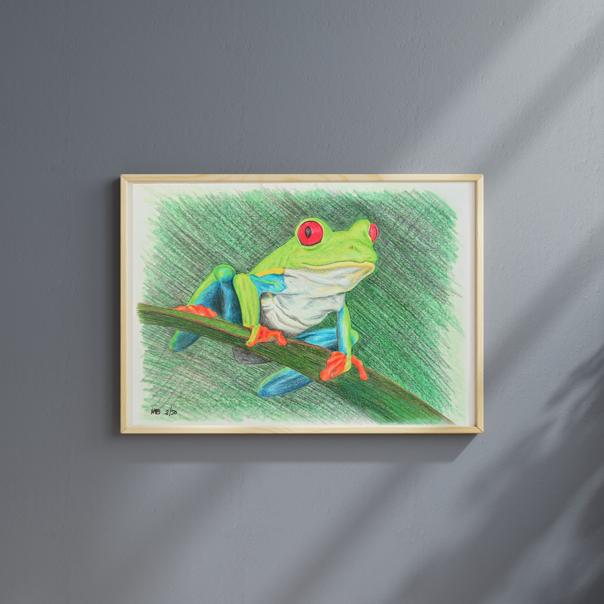 Hannah Kate Makes - Wholesale Art Print - Red Eyed Tree Frog Art Print - Cedric Sammakko - A51