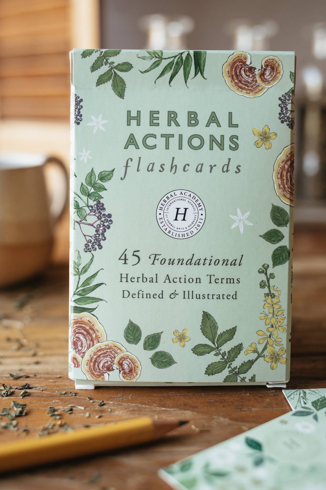 Herbal Academy - Wholesale Learning Cards - Kids & Baby - Herbal Actions Flashcards