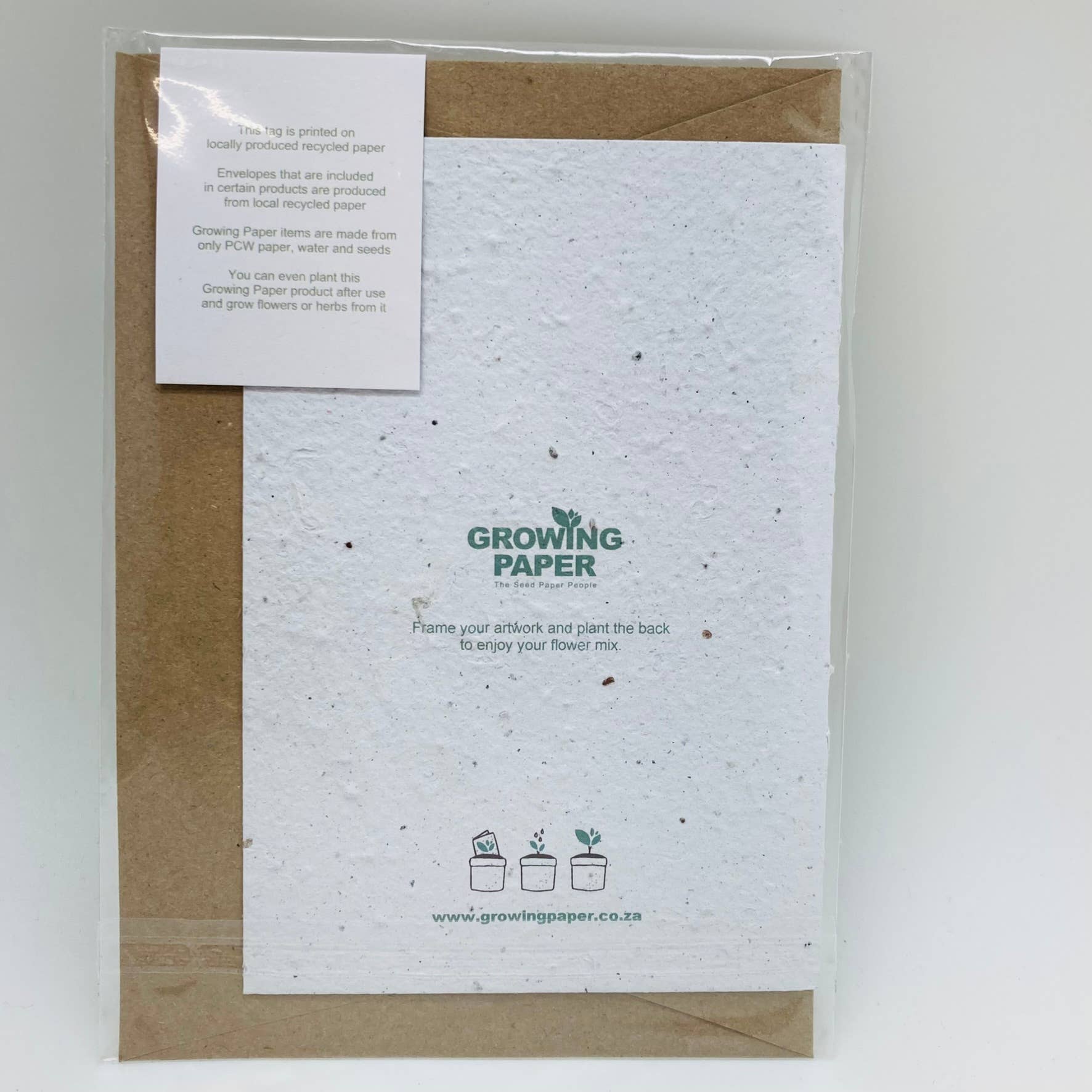 Koru Street - Wholesale Everyday Greeting Card - Growing Paper greeting card - More Patterns2