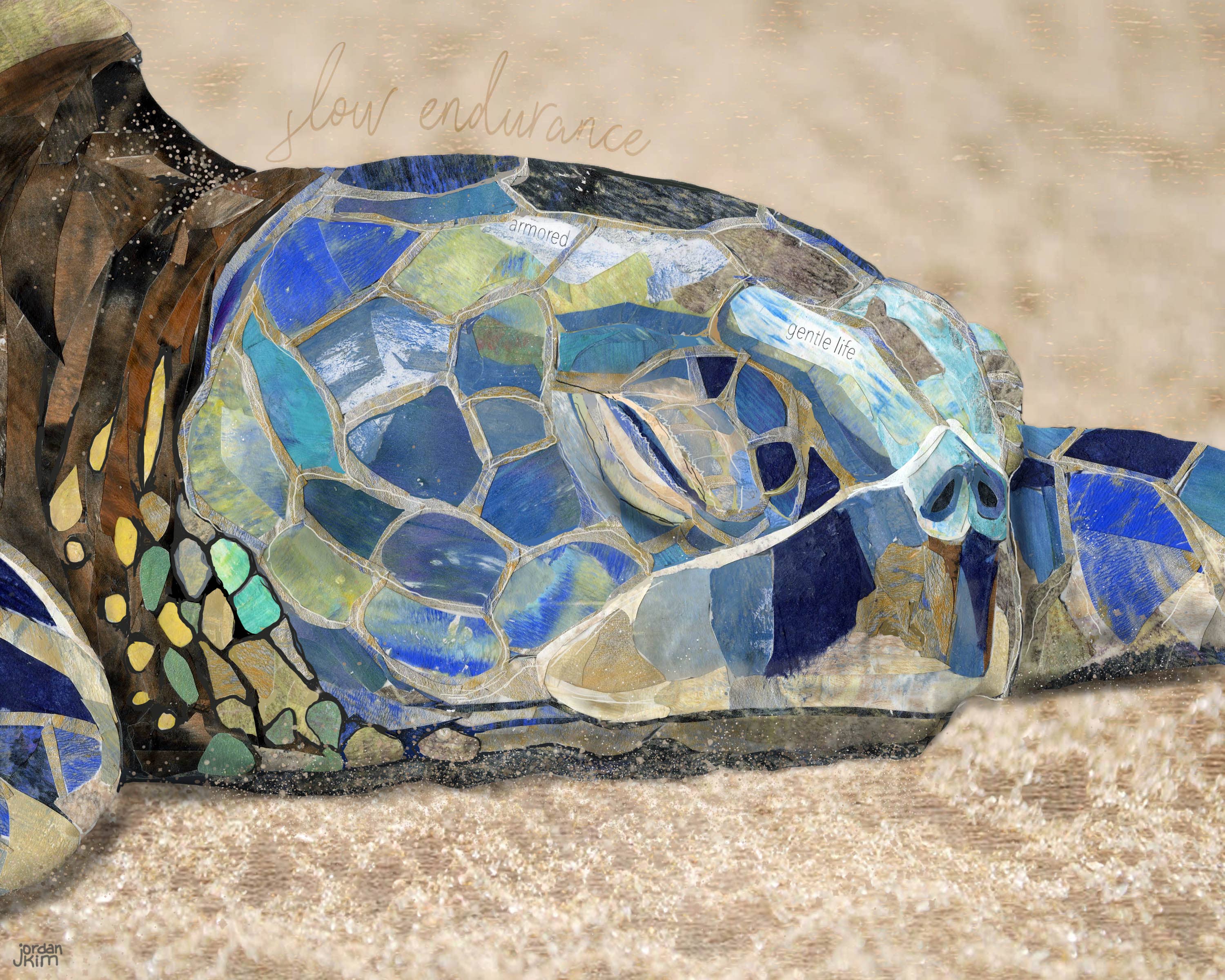 Found & Rewound - Wholesale Art Print - Sea Turtle -  print1