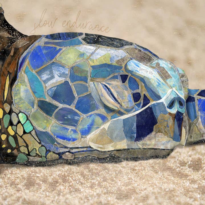 Found & Rewound - Wholesale Art Print - Sea Turtle - print1