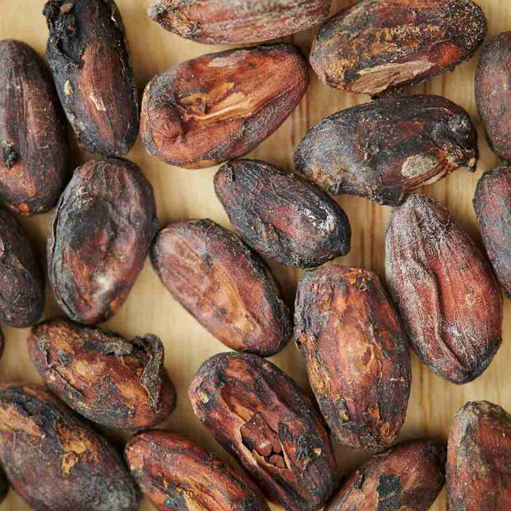 Herbal Cacao - Wholesale Chocolate - Ceremonial Cacao SEEDS (8 pieces)3