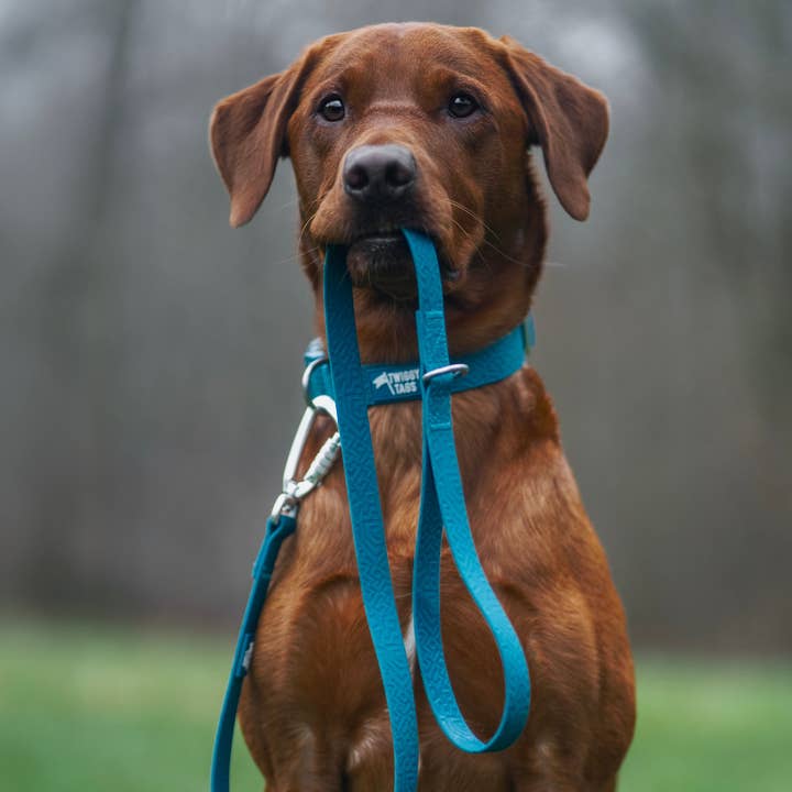 Tidal Waterproof Lead for wholesale by Twiggy Tags