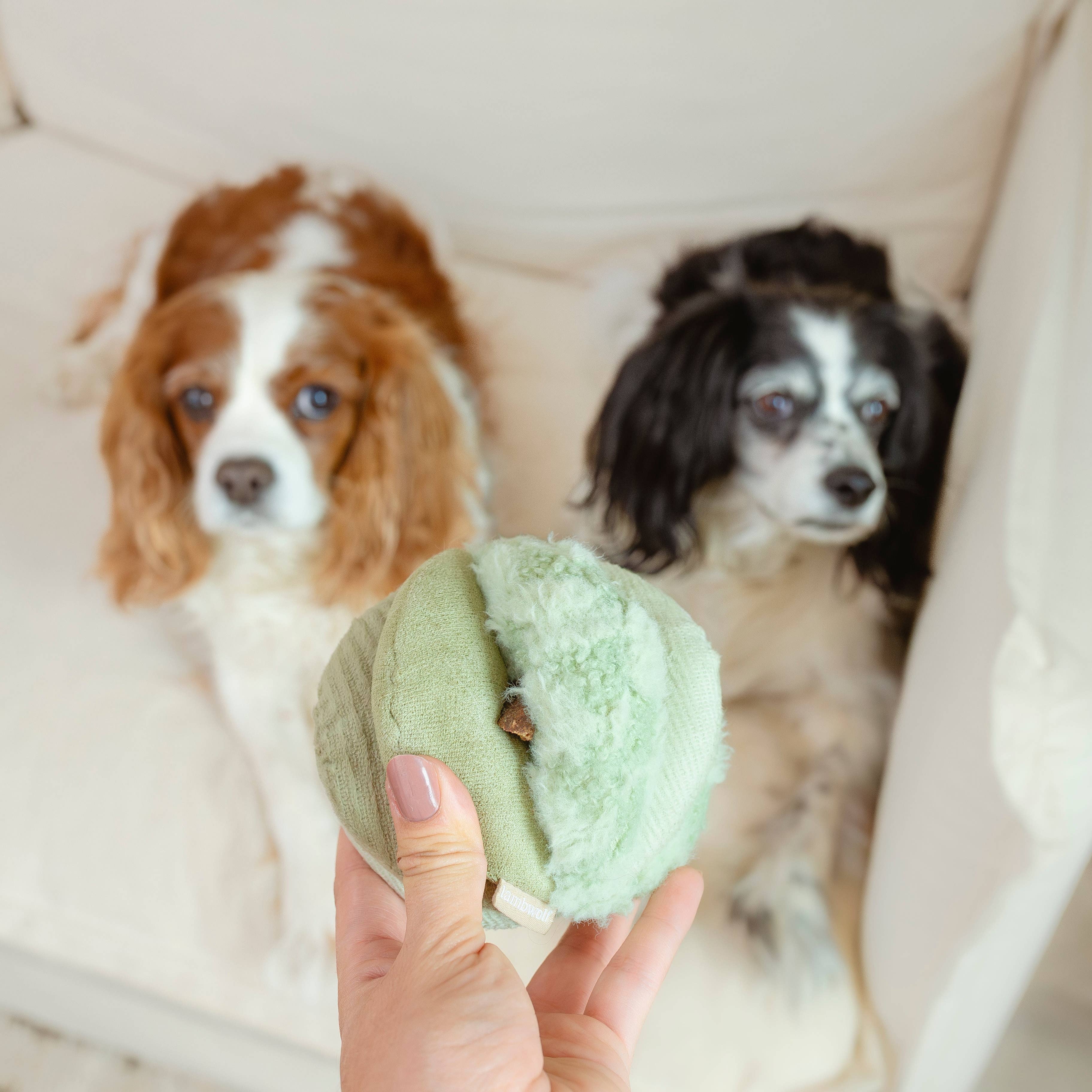 Lambwolf EU - Wholesale Pet Chew Toy - Dog - TOTO //Enrichment Toy ( small) 4