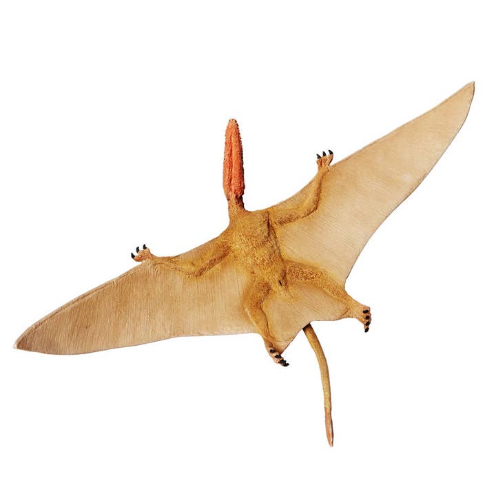 Safari Ltd. - Wholesale Figurine Toy - Kids - Dimorphodon - 304729