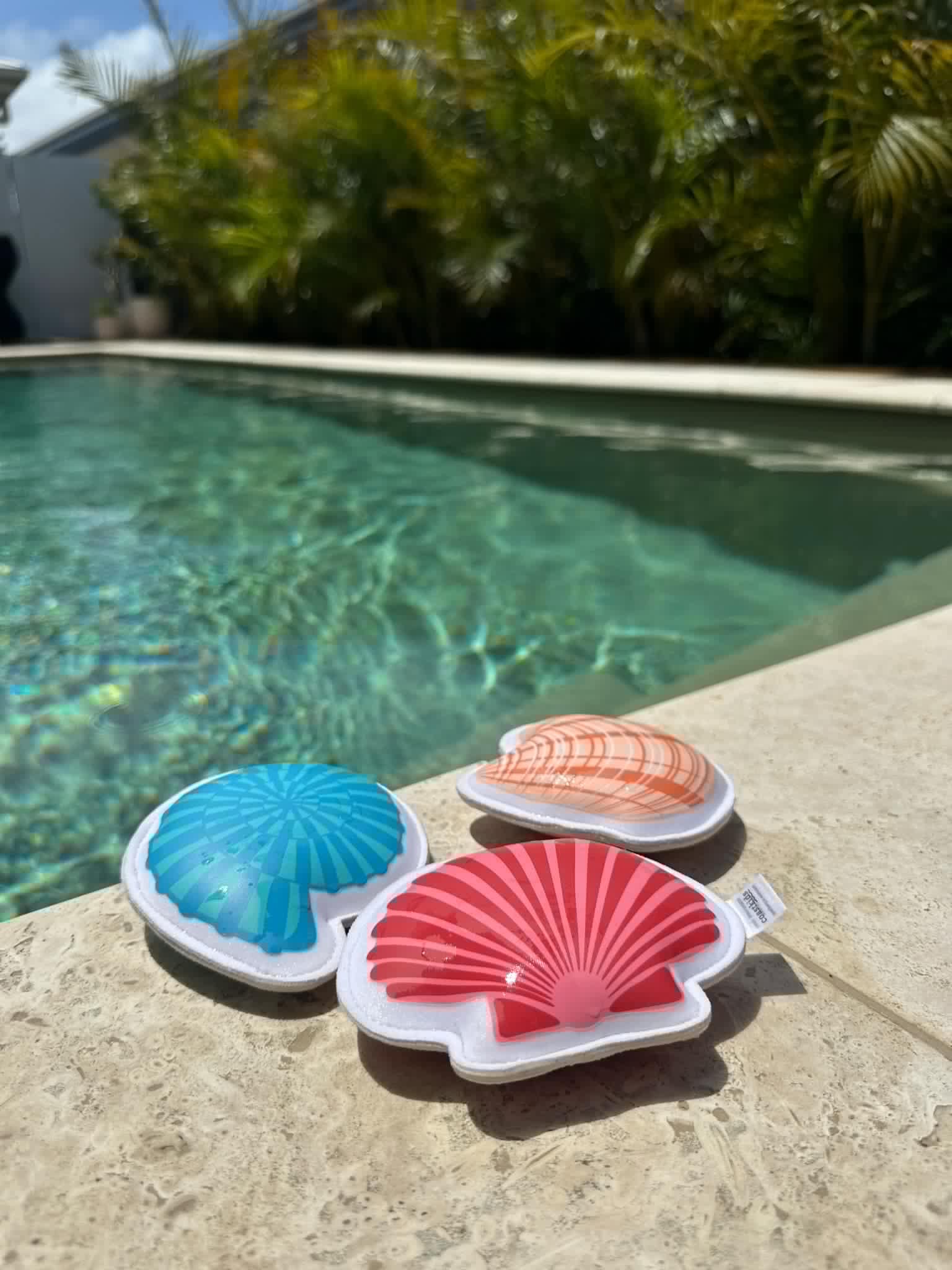 Coast Kids – Großhandel Spielzeug für Strand/Pool – Kinder & Baby – Shoal Bay sinkende Muscheln – Neopren-Tauchspielzeug3