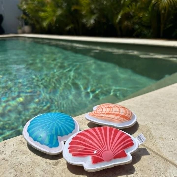 Coast Kids - Vendita all'ingrosso Giocattolo da spiaggia/piscina - Bambini e neonati - Conchiglie Shoal Bay Sinking - giocattoli per immersioni in neoprene3