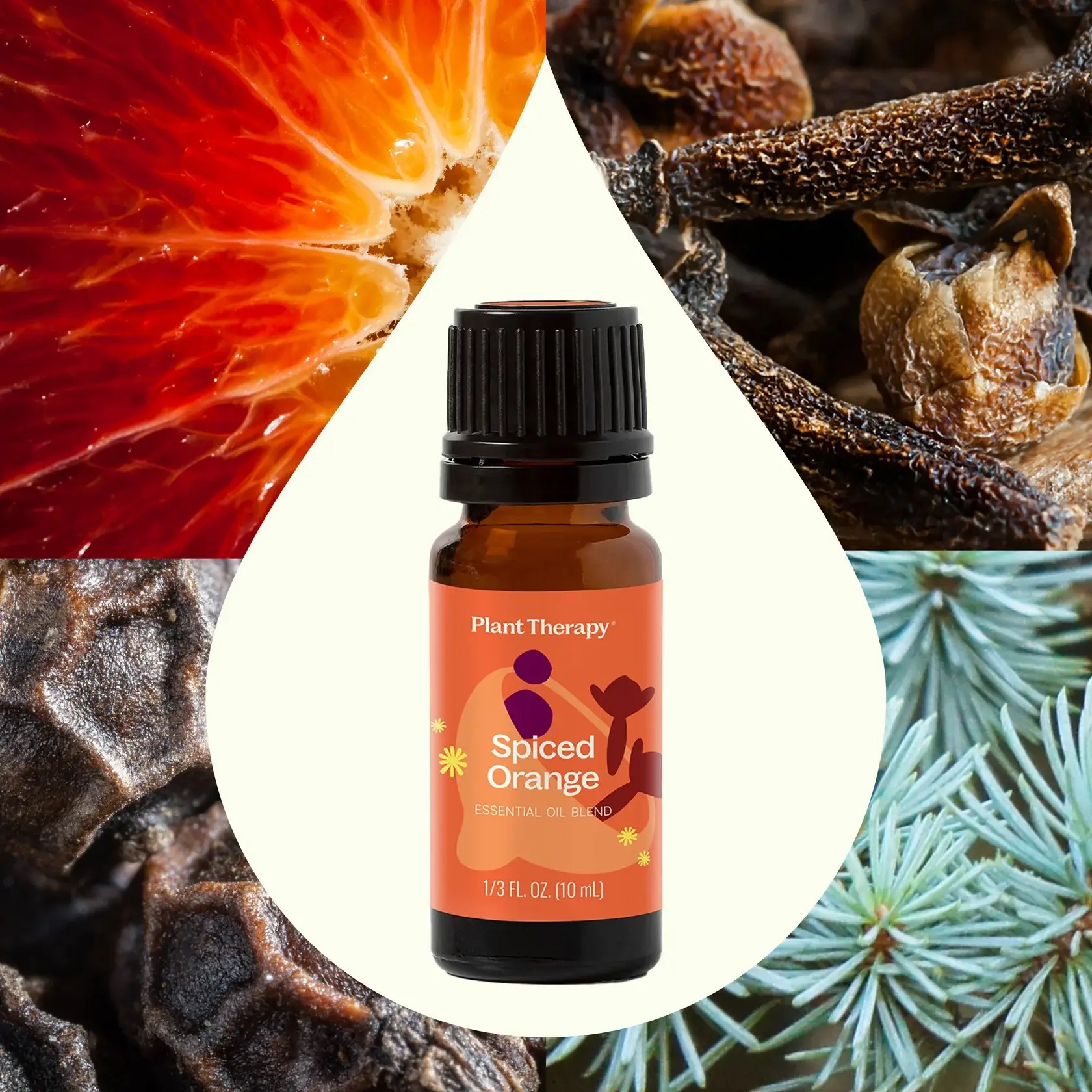 Plant Therapy - Wholesale Essential oil - Spiced Orange Essential Oil Blend1