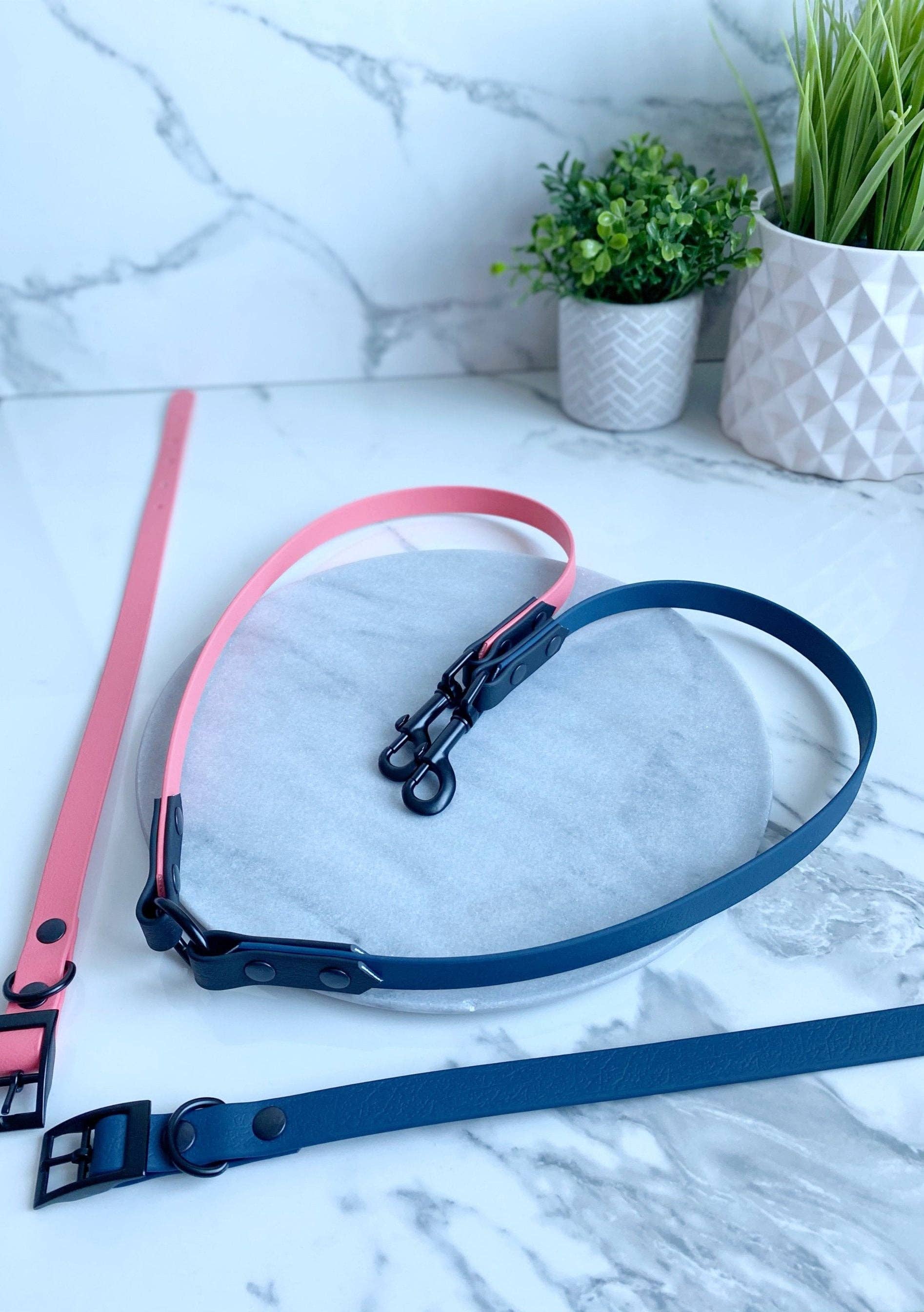 My Pawchella - Venta al por mayor Correa - Perros - Biothano/divisor de correas de colores13