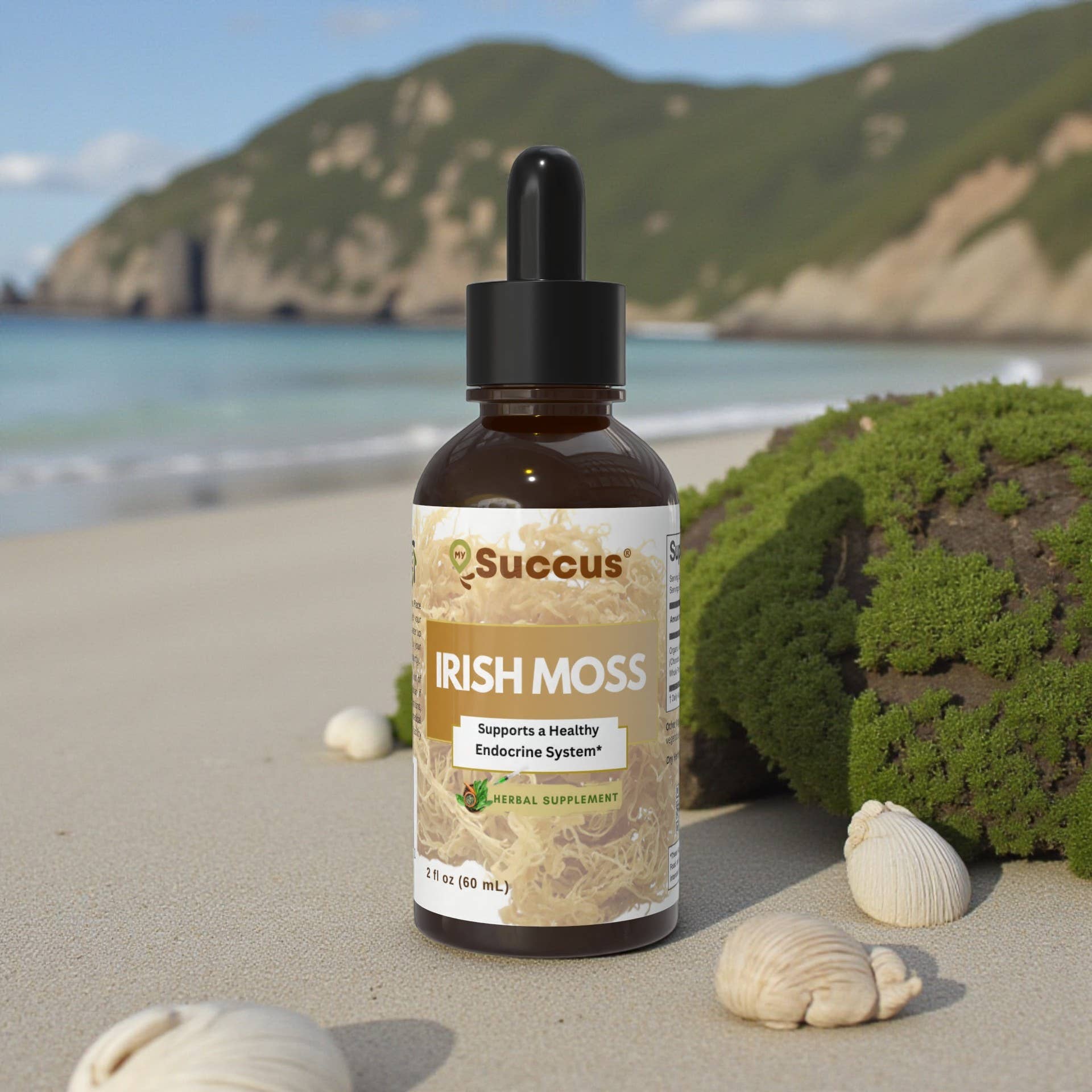 Succus - Wholesale Tincture - Irish Sea Moss Tincture – Mineral-Rich Oceanic Tradition2