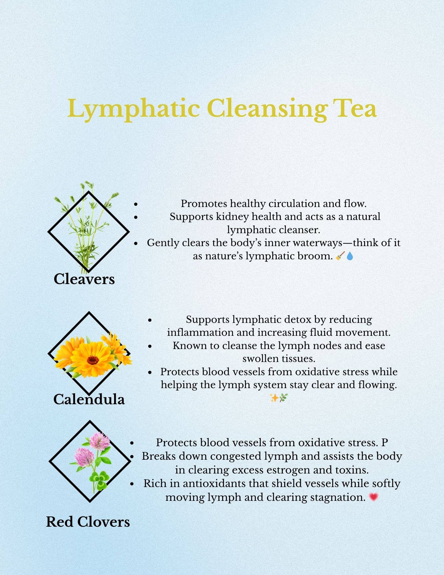 Angels Apoth-a-fairy - Wholesale Health/Detox Tea - Lymphatic Cleansing Tea2