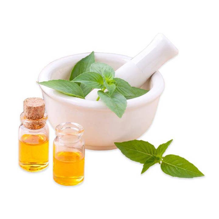 Bentley Seed Co. - Wholesale Plant Seeds - Basil, Lemon Seed Packets3