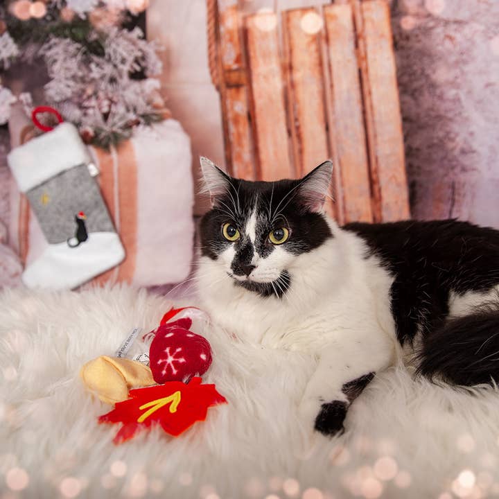 Cat in the Box LLC - Wholesale Holiday Stocking - Christmas Stocking for Cats with Three Holiday Cat Toys
