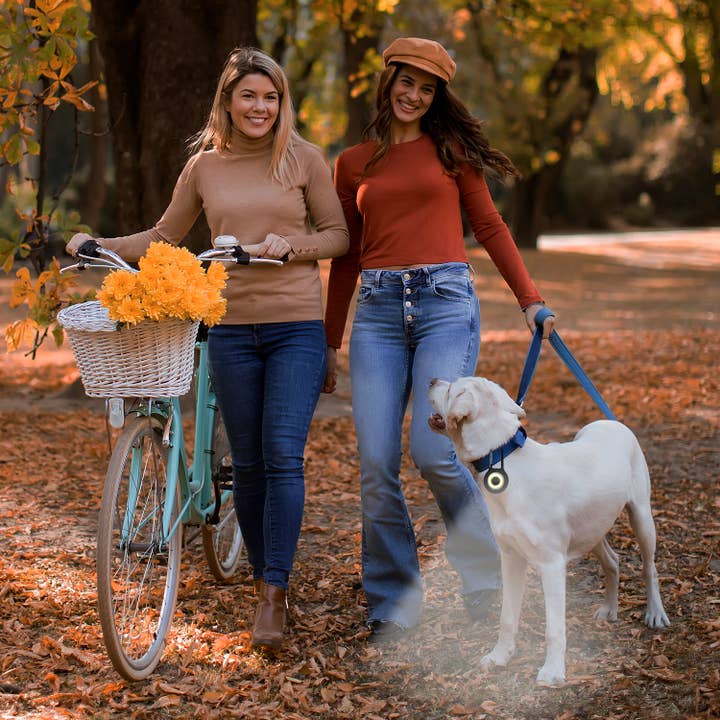 Precious Tails - Wholesale Pet leash – Dog - Pilot & Scout Clip-Brite LED Safety Light for Pets7