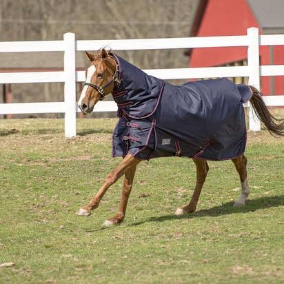 Tuffrider Comfy Heavy Weight Detachable Neck Winter Blanket for wholesale by JPC Equestrian