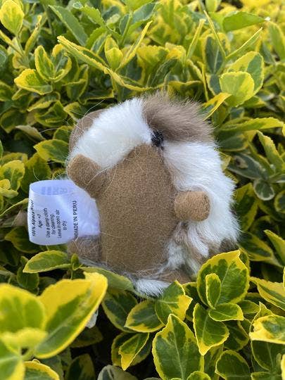 Blossom Inspirations - Wholesale Stuffed/Plush Toy - Kids & Baby - Cuyita Guinea Pig Alpaca Fur Toy9