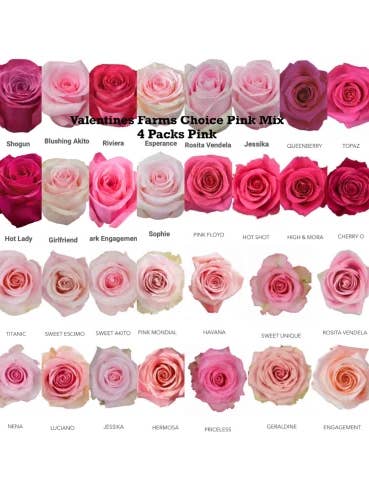 Valentines Day Holiday Rose Mix ALL PINKS for wholesale by Florasource