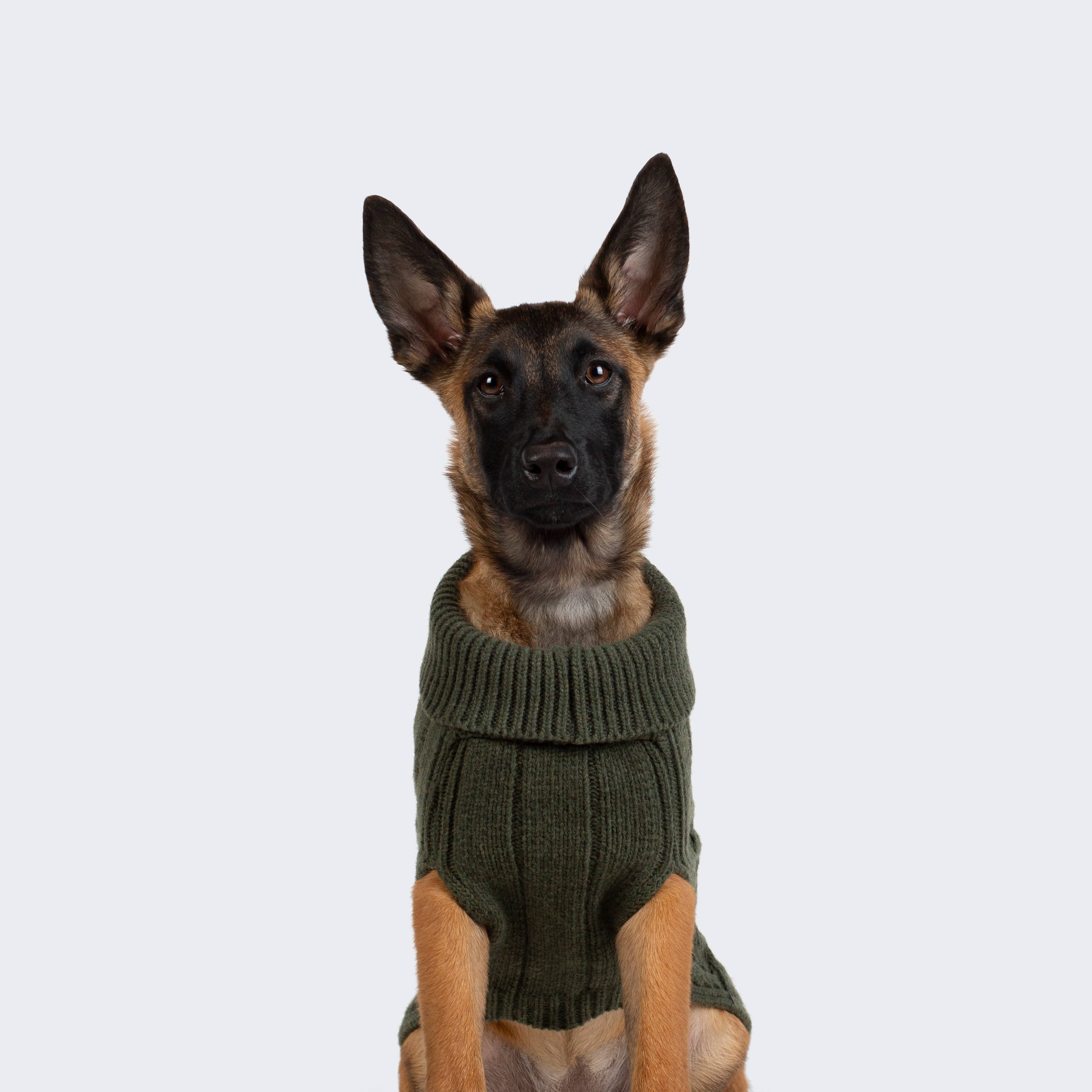 ARISTOPET - Vendita all'ingrosso Maglione - Cani - MAGLIA ASPEN15