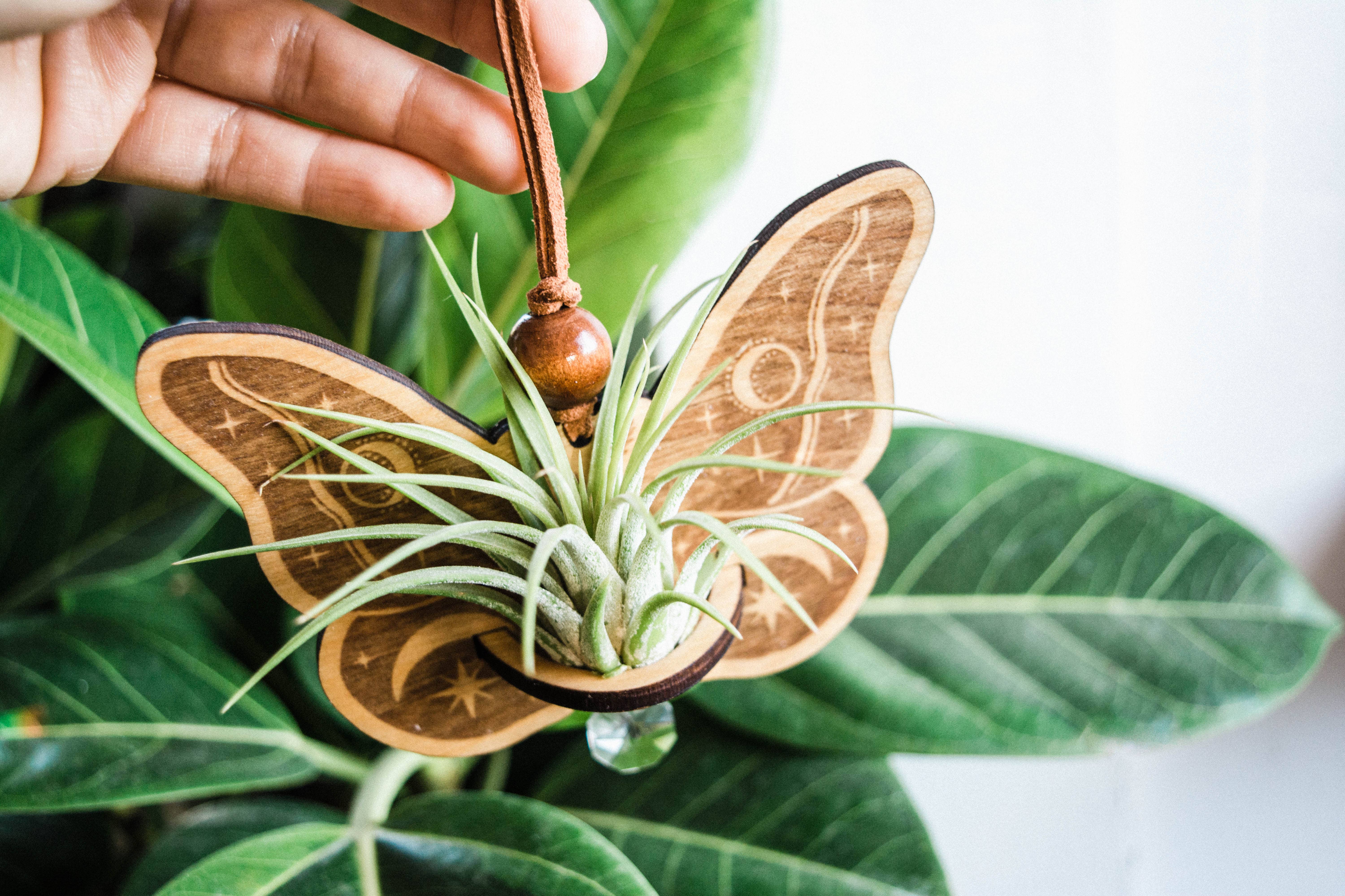 HEX Botanical - Wholesale Suncatcher - Celestial Moth Air Plant Hanger Suncatcher Crystal Prism 1