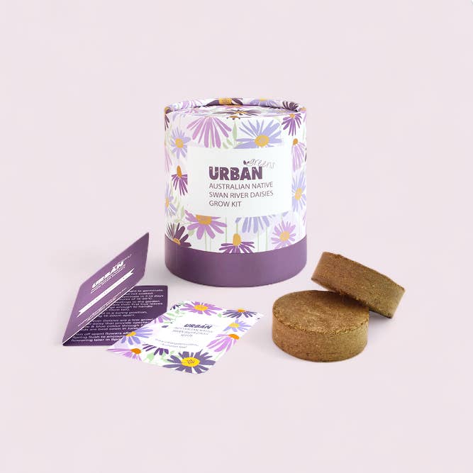 Urban Greens - Wholesale Plant seeds - Urban Greens Australian Native Swan Daisies Grow Kit4